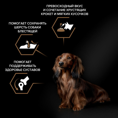 Purina Pro Plan Duo Delice Сухой корм для собак мелких и карликовых пород, говядина с рисом, 2,5 кг