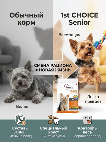 Сухой корм для пожилых собак миниатюрных и мелких пород 2,72кг, курица 1st CHOICE