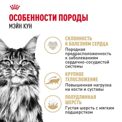 Royal Canin Maine Coon 31 Сухой корм для кошек породы Мейн Кун, 2 кг