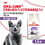 Royal Canin Sterilised 7+ Сухой корм для стерилизованных кошек 7-12 лет, 1,5 кг