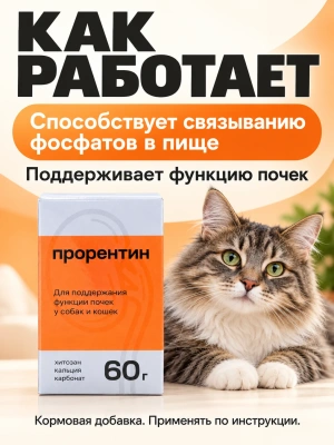 Добавка к корму Прорентин для поддержания функции почек у собак и кошек, упак. 60 гр.