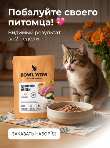 Влажный корм BOWL WOW  для кошек с чувствительным пищеварением, с цыпленком и овощами в соусе 12х85г