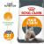 ID61960__Royal Canin Hair & Skin Care Сухой корм для взрослых кошек, для поддержания здоровья кожи и ID61960__Royal Canin Hair & Skin Care Сухой корм для взрослых кошек, для поддержания здоровья кожи и