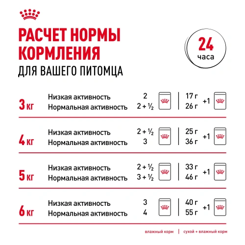 Влажный корм для кошек Royal Canin Indoor Sterilised кусочки в соусе, 85 г