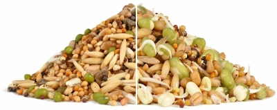 RIO набор для проращивания для всех видов птиц 25 гр баночка