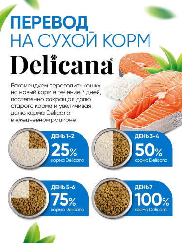 Сухой корм DELICANA  для стерилизованных кошек и кастрированных котов с лососем 0,4 кг 