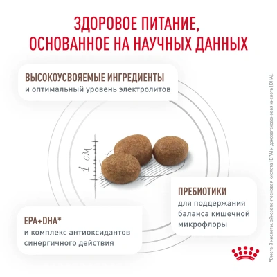 Royal Canin Gastro Intestinal Moderate Calorie, Сухой корм для кошек с заболеваниями печени и ЖКТ, 400 г
