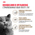 Royal Canin Ageing Sterilised 12+ Сухой корм для стерилизованных кошек старше 12 лет, 400 г