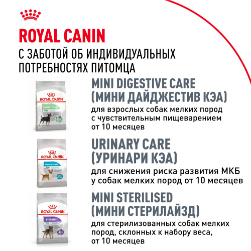Royal Canin Chihuahua Adult Сухой корм для собак породы Чихуахуа, 1,5 кг