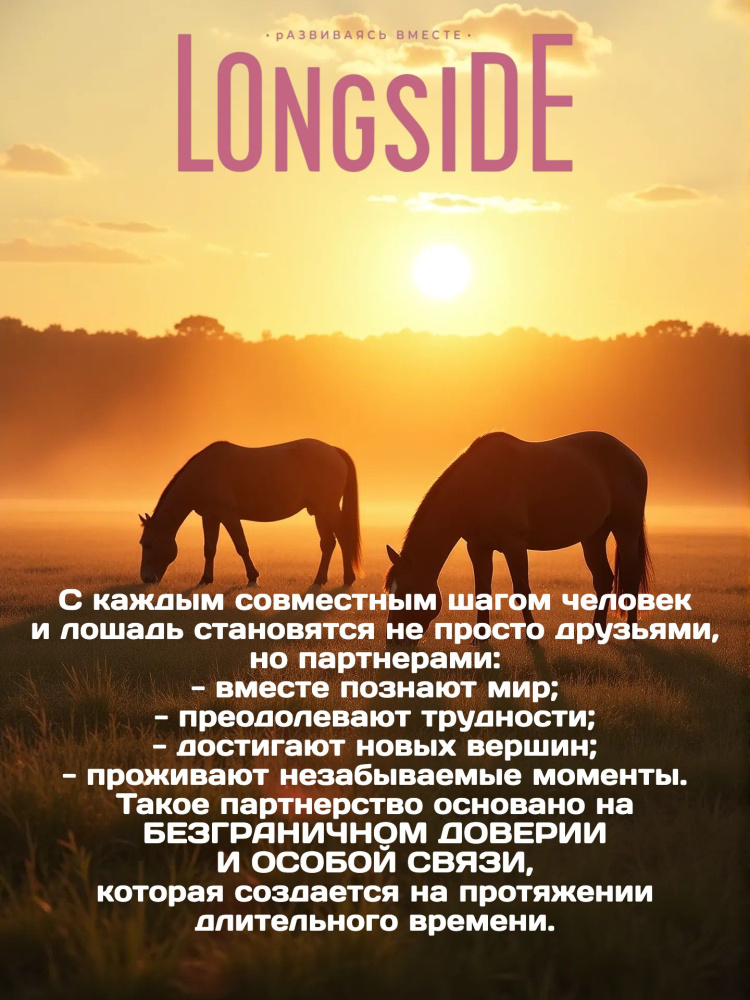 Лакомство для лошадей LONGSIDE, укрепляющее доверие. Садовое яблоко