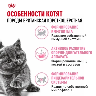 ROYAL CANIN British Shorthair Корм сухой для котят породы Британская короткошерстная, 400 г