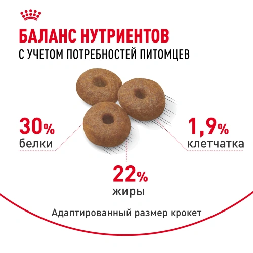 Сухой корм Royal Canin Maxi Starter для щенков крупных пород, беременных и кормящих 4 кг