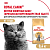 ROYAL CANIN British Shorthair Корм сухой для кошек породы Британская короткошерстная, 400 г