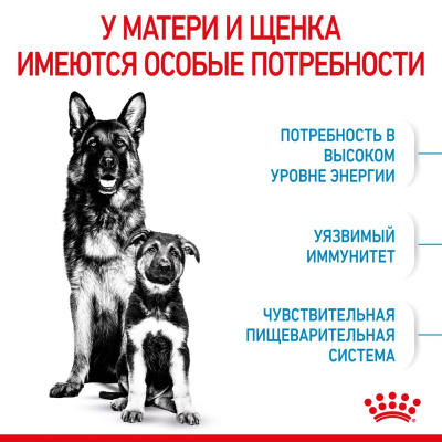 Сухой корм Royal Canin Maxi Starter для щенков крупных пород, беременных и кормящих 4 кг