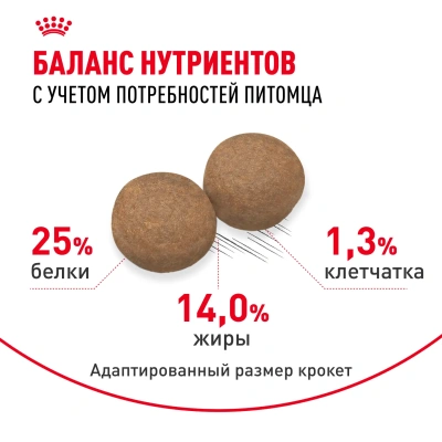 Royal Canin Medium Adult Сухой корм для собак средних пород, 3 кг