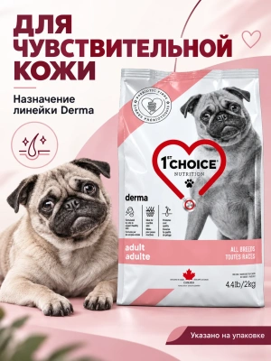 Сухой корм для собак с гиперчувствительной кожей GF DERMA, Лосось 2 кг 1st CHOICE