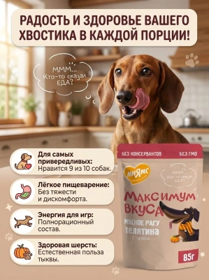 Влажный корм для собак мясное рагу с телятиной и тыквой 85 г. Мнямс Максимум Вкуса