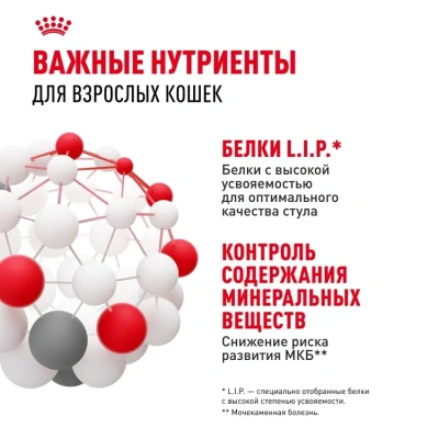 Royal Canin Indoor Sterilised Консервированный корм для домашних кошек, желе, 85 г