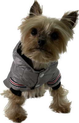 Спортивный водонепроницаемый теплый жилет для питомцев серый M