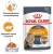 Royal Canin Intense Beauty, кусочки в желе, 85 г