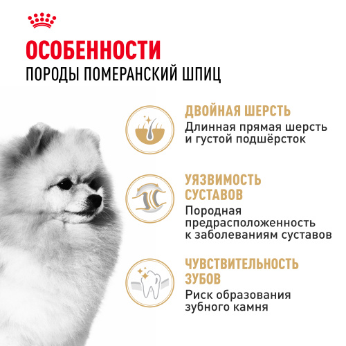 Royal Canin Pomeranian Adult Сухой корм для собак породы Померанский шпиц, 500 г