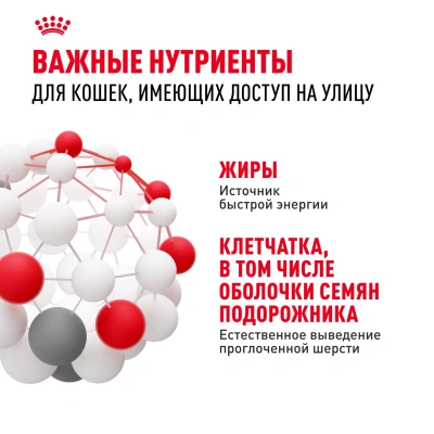 Сухой корм Royal Canin Fit 32 для кошек для вывода шерсти и с умеренной активностью 400+160 г.