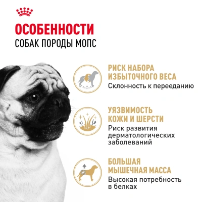 Сухой корм для собак Royal Canin породы Мопс 500 г