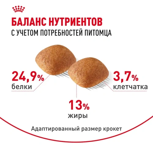 Сухой корм Royal Canin для взрослых собак породы Лабрадор ретривер 3 кг