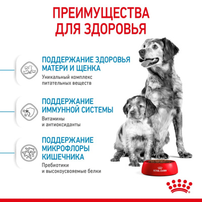 Сухой корм Royal Canin Medium Starter для щенков средних пород ,беременных и кормящих 4 кг