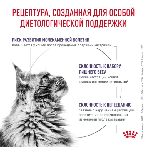 Влажный корм Royal Canin Neutered Maintenance для стерилизованных кошек в соусе 85г