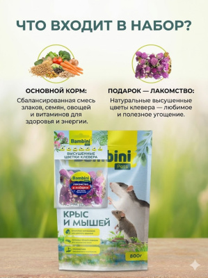 Корм для крыс Bambini Pets, корм + лакомство -  цветы клевера в подарок