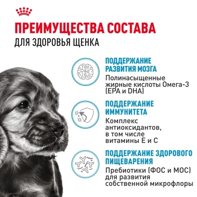 Влажный корм Royal Canin для щенков минипород в соусе 85 г.