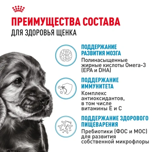 Влажный корм Royal Canin для щенков минипород в соусе 85 г.