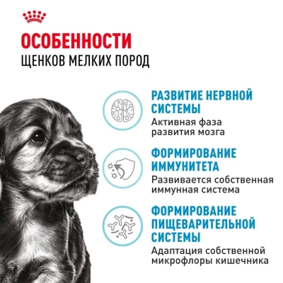 Royal Canin Mini Puppy Корм сухой для щенков мелких пород, 800 г