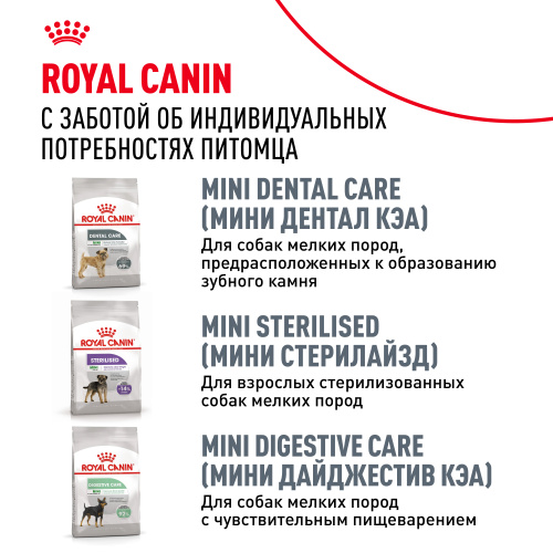 Сухой корм Royal Canin для взрослых собак породы Такса 1,5 кг