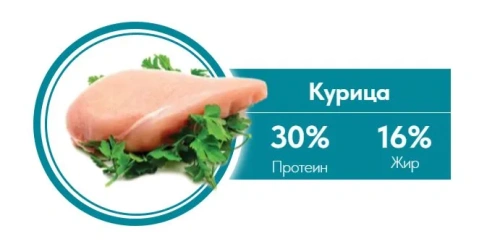 Сухой корм 1st Choice для кошек Urinary, профилактика МКБ курица, 1.8 кг