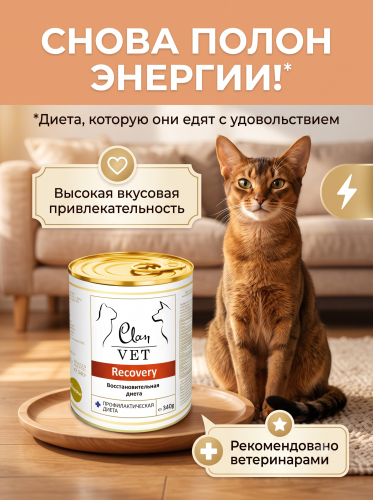 Влажный ветеринарный корм CLAN VET RECOVERY для собак и кошек, восстановительная диета 340г