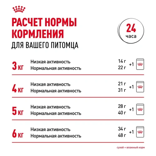 Royal Canin Indoor Sterilised Консервированный корм для домашних кошек, желе, 85 г