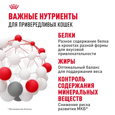 Royal Canin Savour Exigent  Сухой корм для взрослых кошек привередливых к вкусу, 2 кг