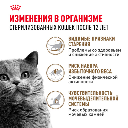 Royal Canin Ageing Sterilised 12+ Сухой корм для кастрированных котов и стерилизованных кошек старше 12 лет, 2 кг