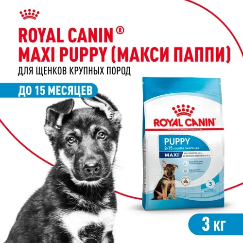Сухой корм Royal Canin Maxi Puppy для щенков крупных пород  с курицей, 3 кг