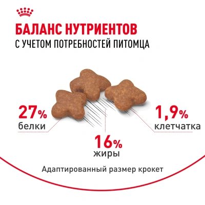 Royal Canin Mini Adult Корм сухой для взрослых собак мелких пород, 4 кг