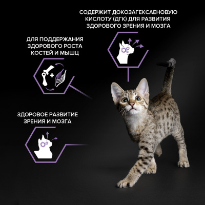 Purina PRO PLAN Original Kitten Сухой корм для котят, курица, 1,5 кг