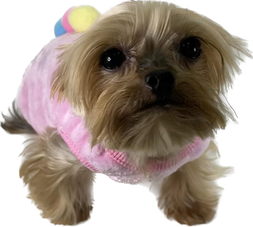 Свитер флисовый розовый с мороженным XL