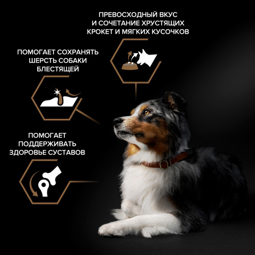 Purina PRO PLAN Duo Delice Сухой корм для собак средних и крупных пород, с говядиной, 2,5 кг