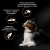 Purina PRO PLAN Duo Delice Сухой корм для собак средних и крупных пород, с говядиной, 2,5 кг