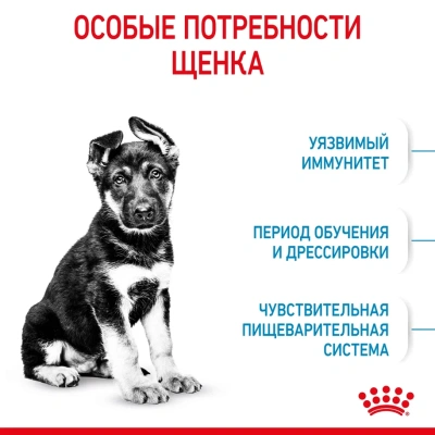 Сухой корм Royal Canin Maxi Puppy для щенков крупных пород  с курицей, 3 кг
