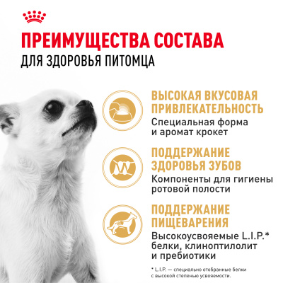 Royal Canin CHIHUAHUA ADULT Сухой корм для взрослых собак породы Чихуахуа, 500 г