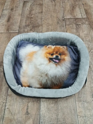 Лежанка с рисунком собаки, дизайн №4 (53*38*16) Rich Breed 