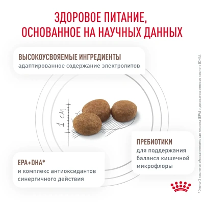Сухой корм для кошек Royal Canin Gastrointestinal Hairball диетический корм для вывода шерсти  2 кг